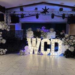Disco Theme Party