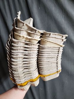 Egg cartons