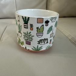 Succulent Pot (small)