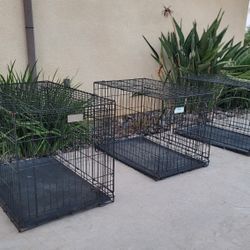 Dog Kennel  ""ONLY KENNEL""
