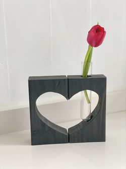 Heart Vases/Propagation 
