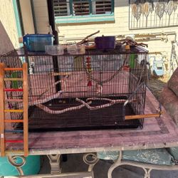 Bird Cage With All The Equipment To Go With It. Such As It Has 2 Baths, Ladder. ,3 Swings, 6 Wooden Pirches