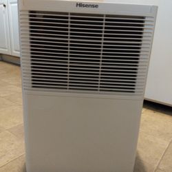 Hisense Dehumidifier 