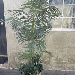 Artificial Plant