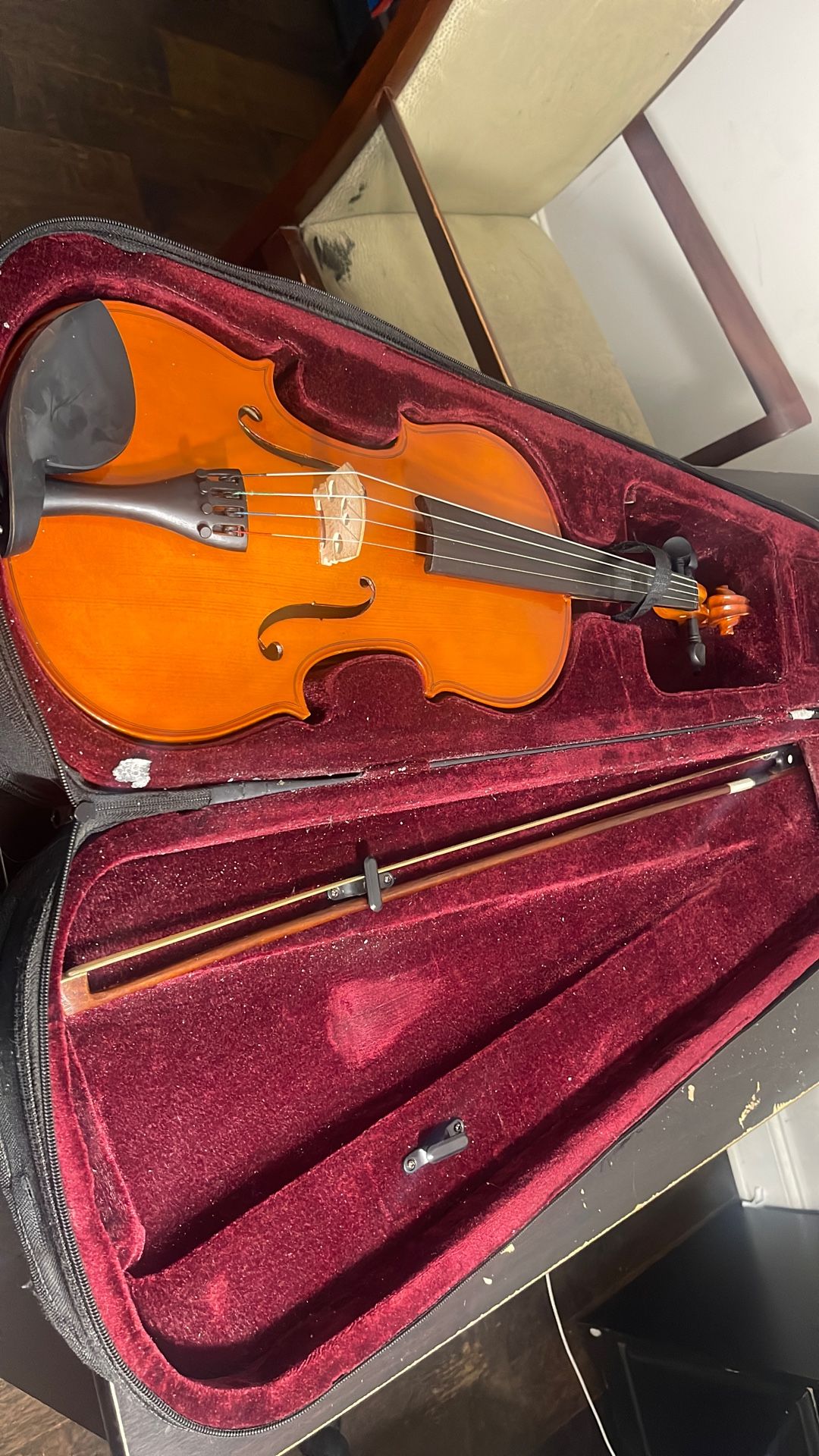 Violin