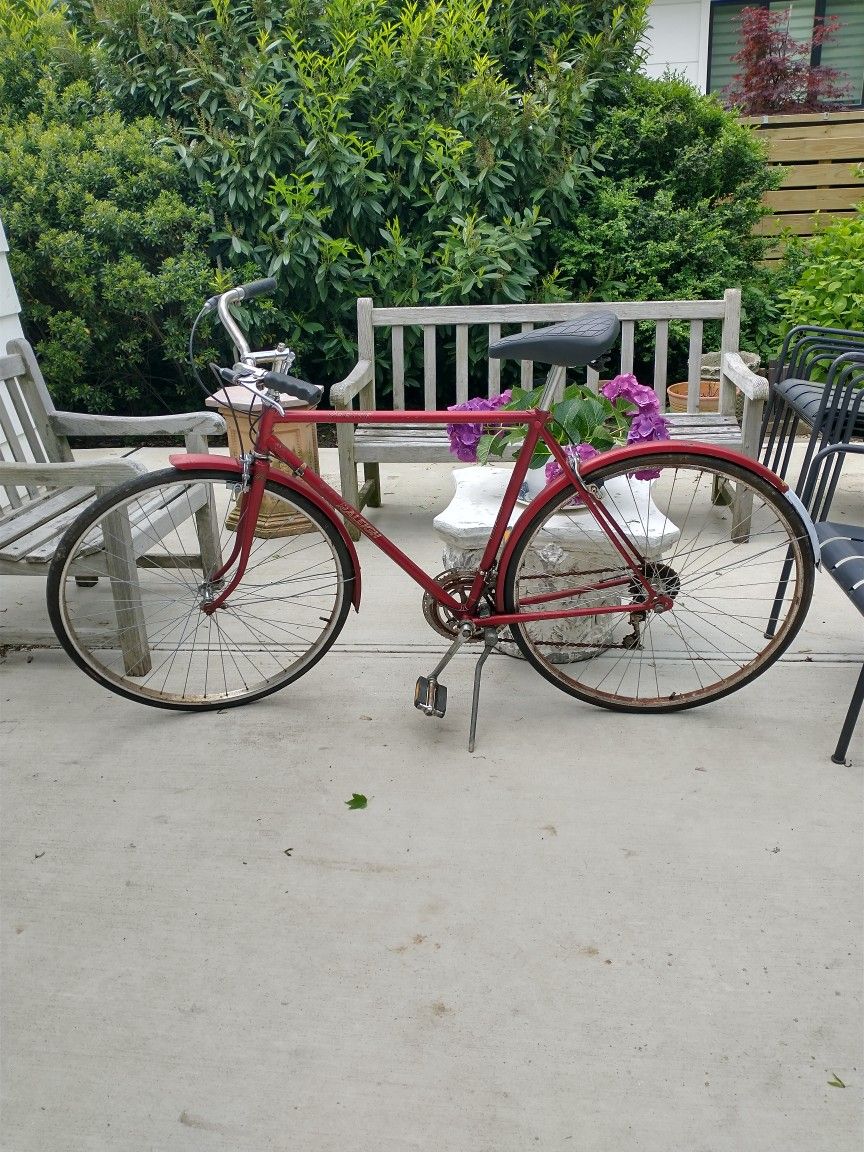 *** RALEIGH HYBIRD / CRUSIER BICYCLE 21" FRAME ***⁵