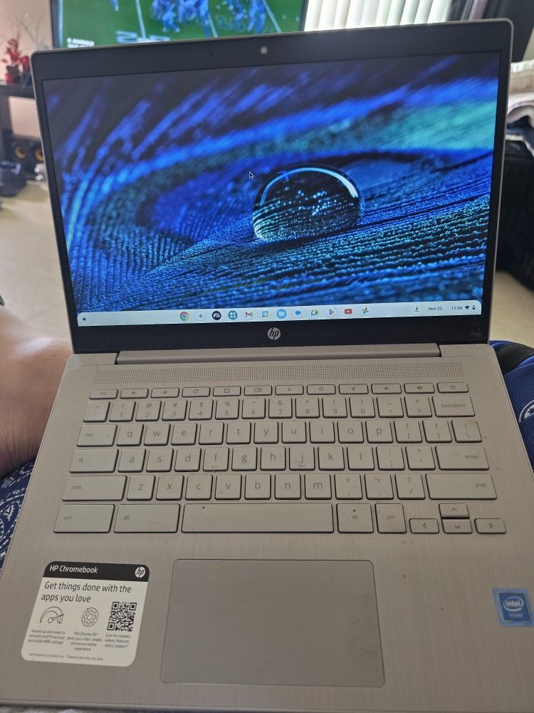 Hp Chromebook