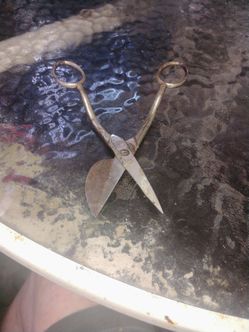 Duckbill scissors 1864  $20.00