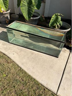 Fish tank