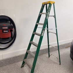 Davidson 7 Ft. Fiberglass Step Ladder