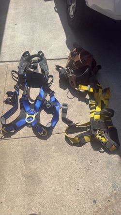Harness