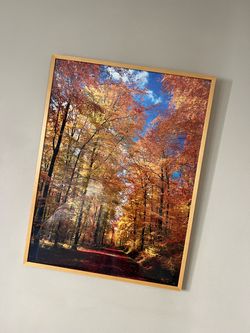 Frame picture