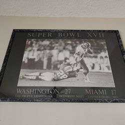 Washington Redskins Super Bowl frame XVII
