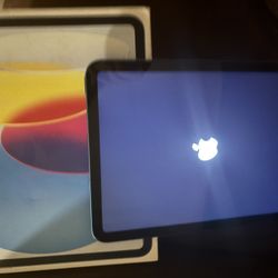 Apple iPad 10th Gen 64GB Wi-Fi + Cellular – Great Condition