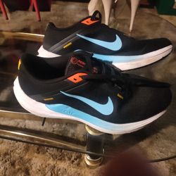 Women's Nike Winflo 10