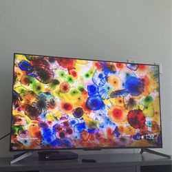 TCL 55” Q7 4K QLED Smart TV (5 ⭐️ seller)