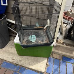 Small Bird Cage 