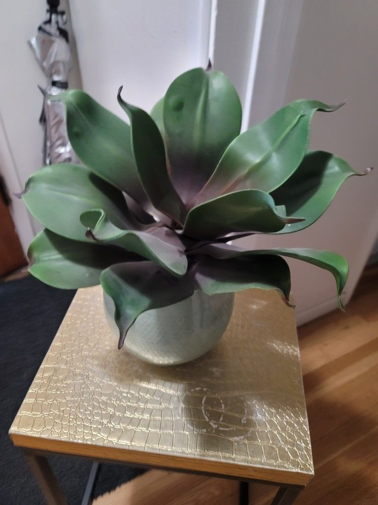 NICE PLANT LOOKS SO SO REAL BUT IT IS ALL FAKE WITH BOTTOM 15