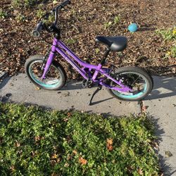 Guardian Kid Bike