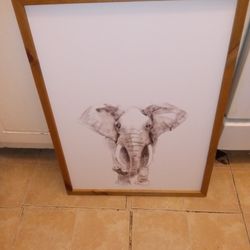 Pictures w Animal Prints ( 23.5" X 33.5" T