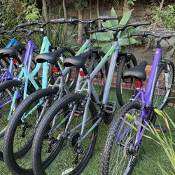 Bikes for sale