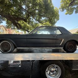 1965 Mustang 🐎
