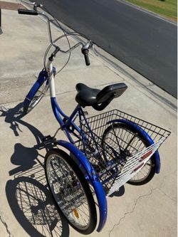 Adult 3 wheel bicycle