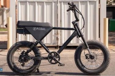 Pedal Electric Fat Tire Bike Perfect for You - Or Two