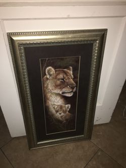 Lion frame very nice 12. Firmmm