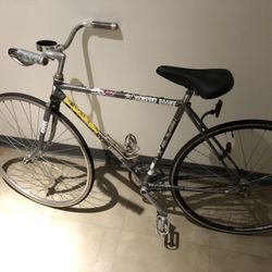 TREK Single Gear Coaster Brake 700Cx28