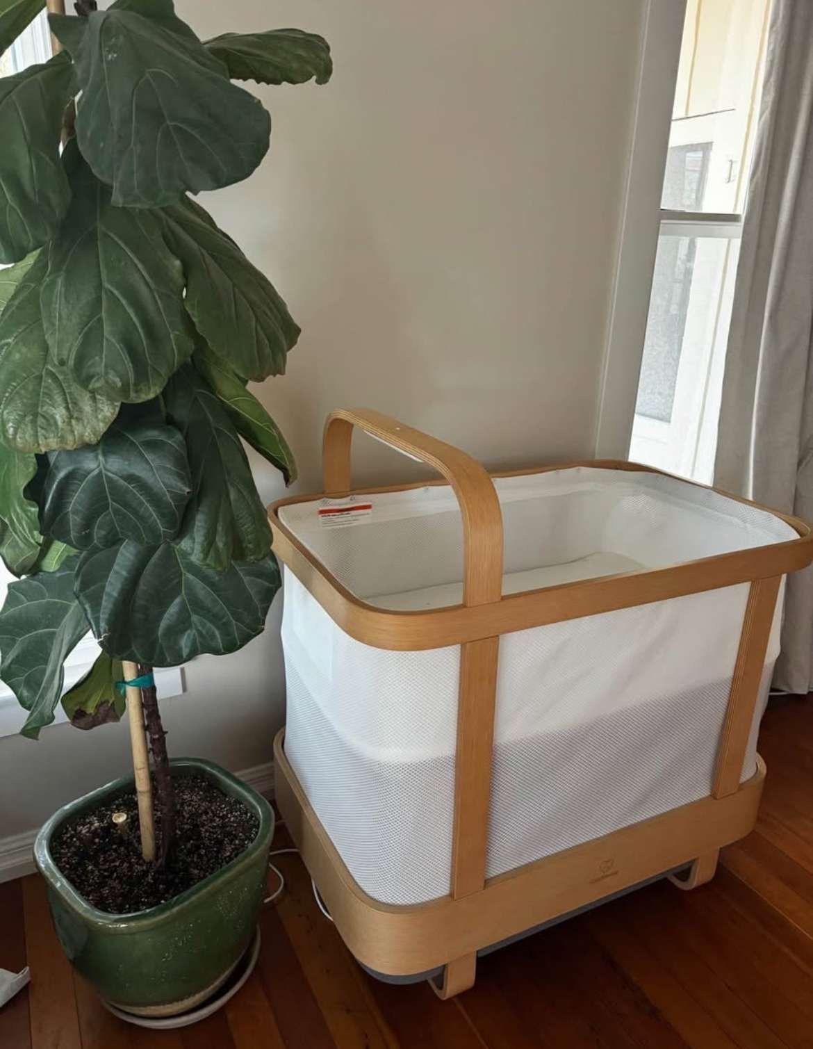 Cradlewise Convertible Smart Bassinet and Crib