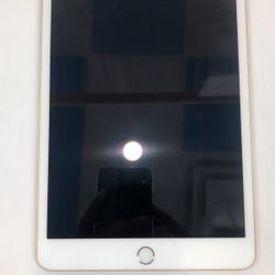 iPad Mini 3 
