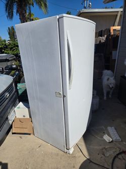White Upright Refrigerator