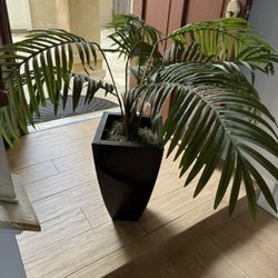 Fake Plant 
