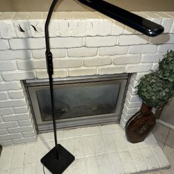 LED Adjustable Floor Lamp – 3 Light Modes MOVING SALE