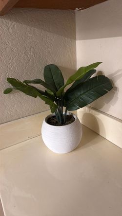 Fake palm in white pot