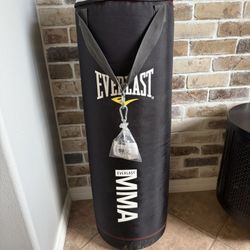 Everlast Punching bag