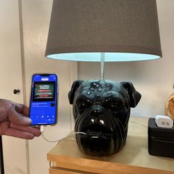 Charging Station Lamp