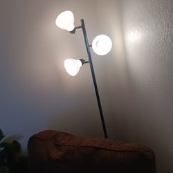 Standing Floor Lamp