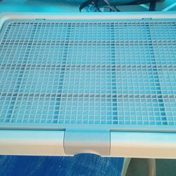 Dog Potty Tray