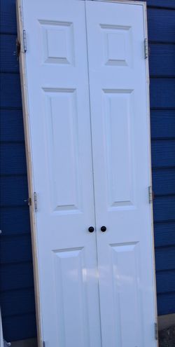 24x80 Door  doble.
