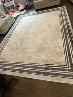 Carpet / Area Rug 11x13