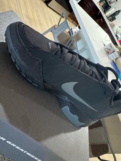 LeBron Witness IX