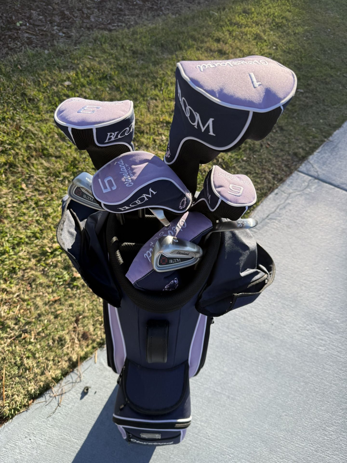 Cleveland Lady’s Gulf Club Boom Series With Bag