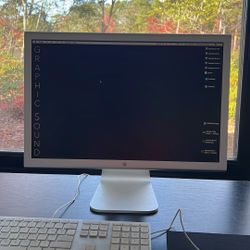 20 Inch Apple Display