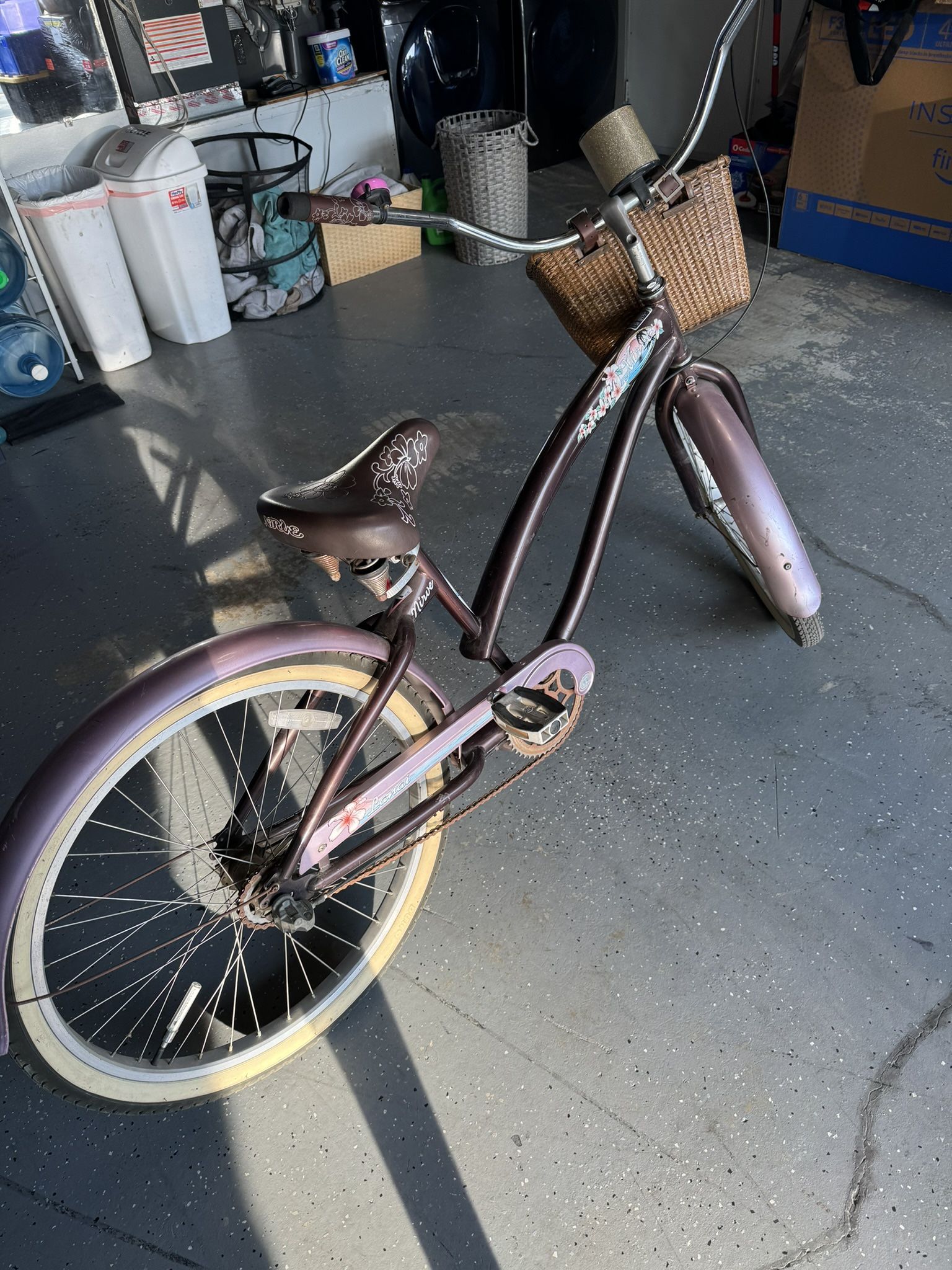 Beach Cruiser Nerve