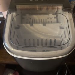 Ice maker 