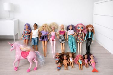 Barbie Doll Lot + Accessories – Dolls, Kids Dolls & Unicorn Included