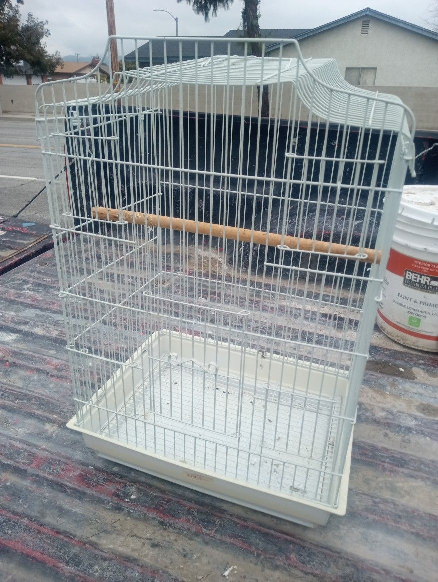 Bird Cage