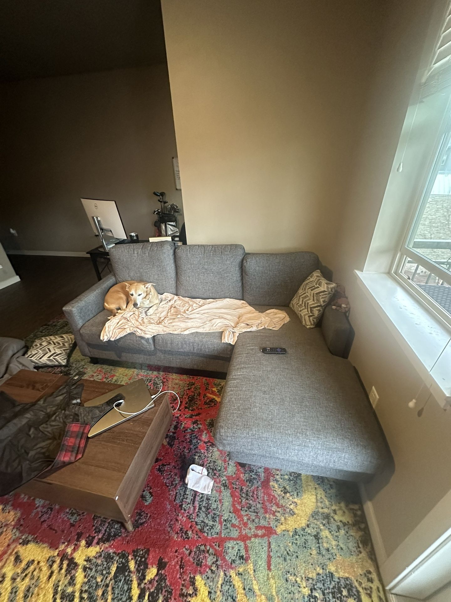 Grey Couch For Sale